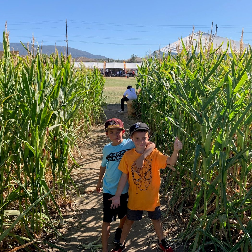 Big Horse Corn Maze 1
