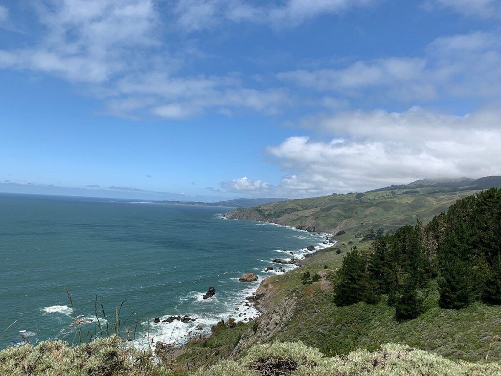 Muir Beach 2