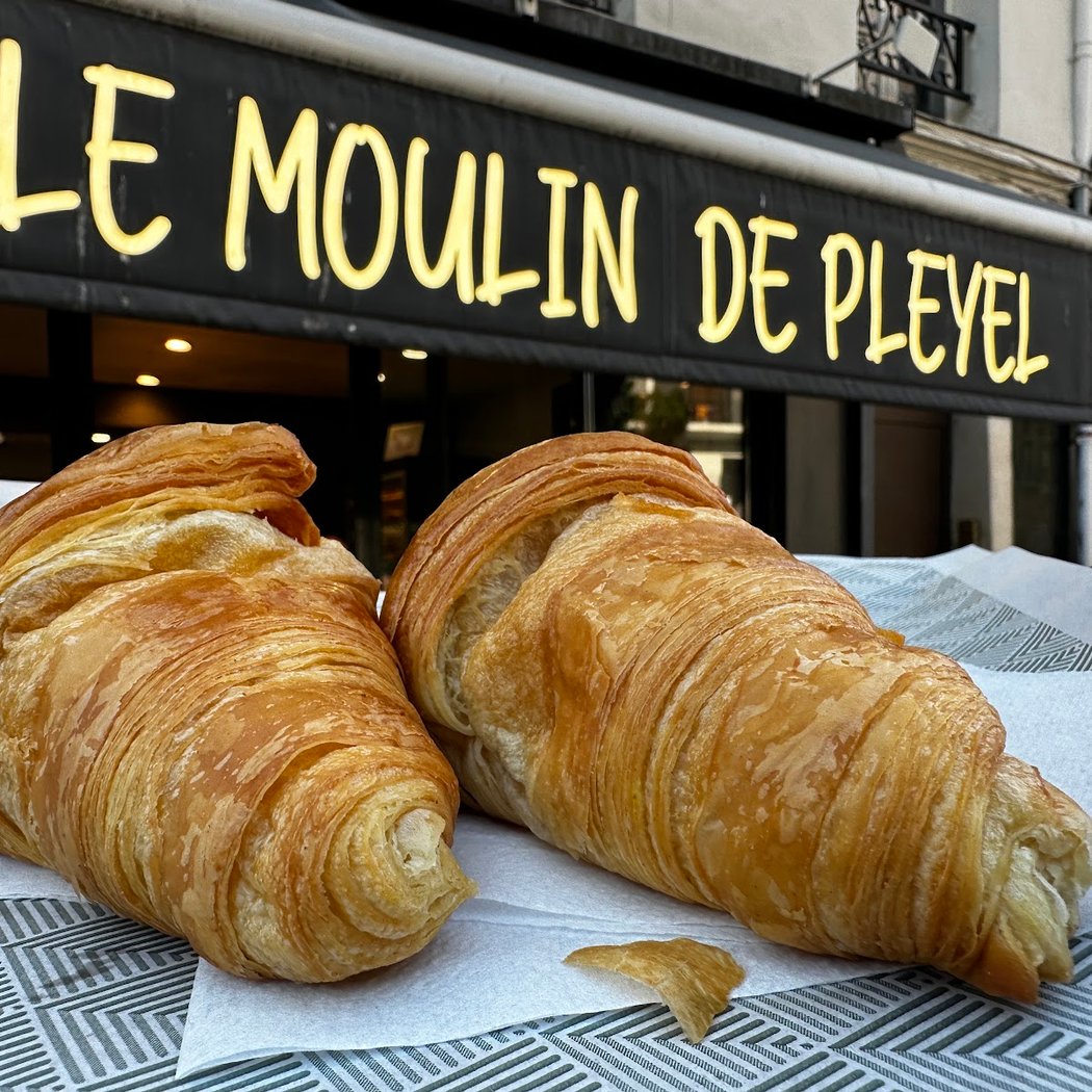 Le moulin de Pleyel 1