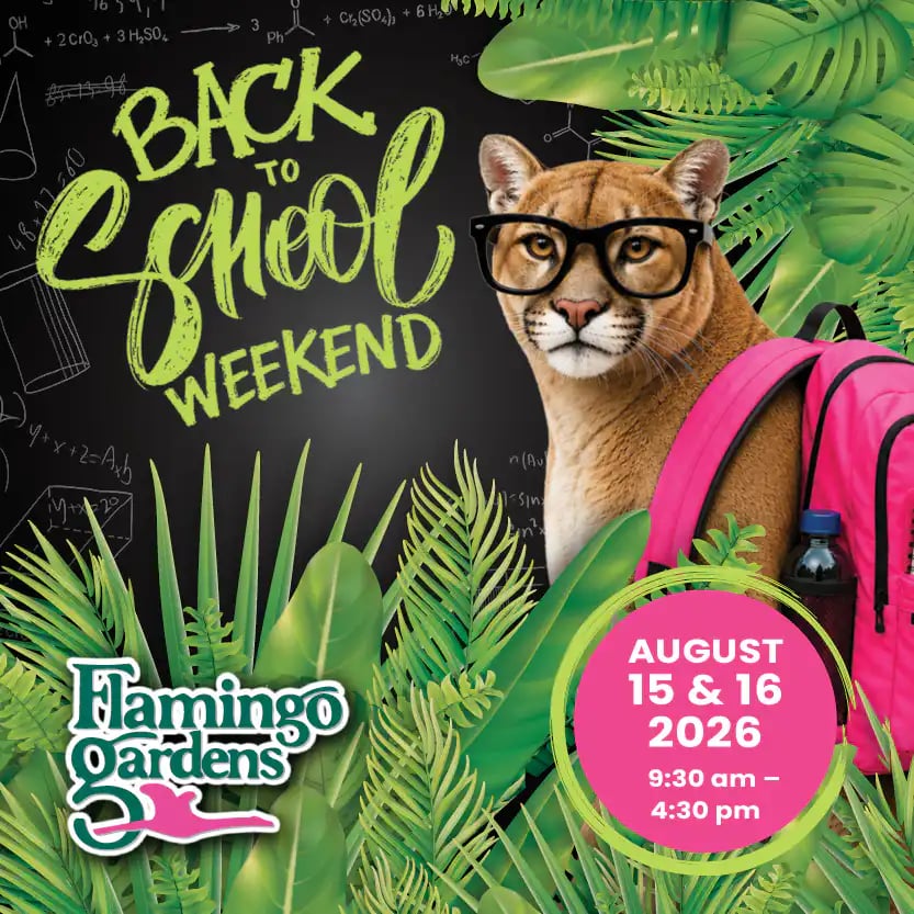 Back-to-School Weekend 1