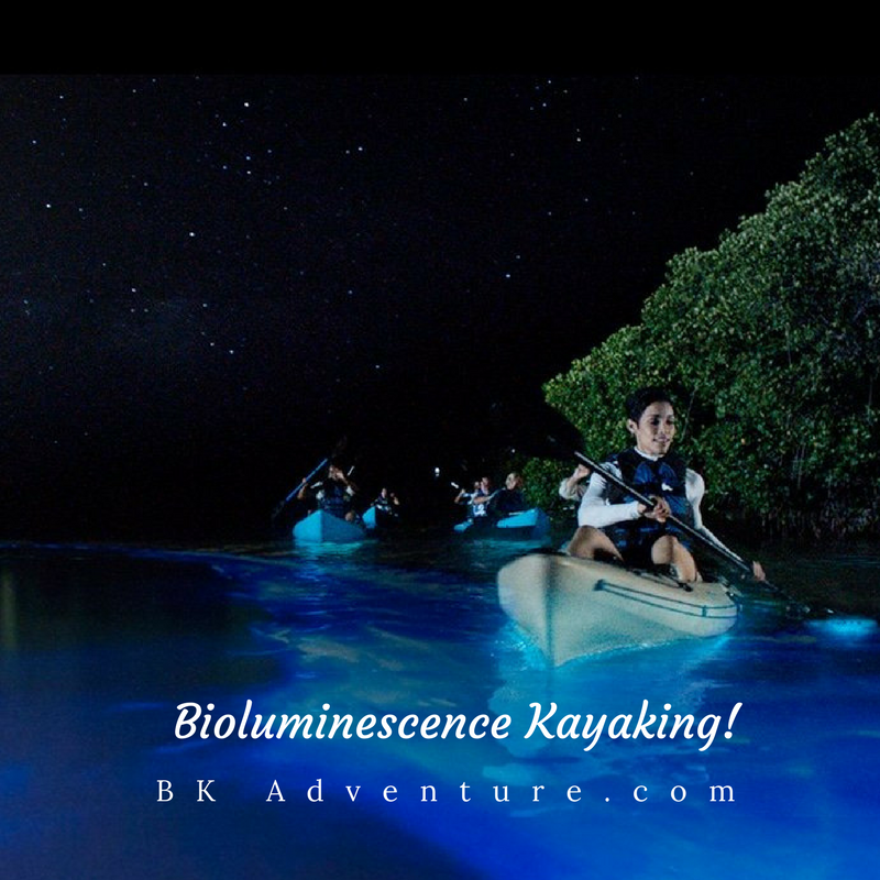 BK Adventure Florida - Bioluminescence Tours 5