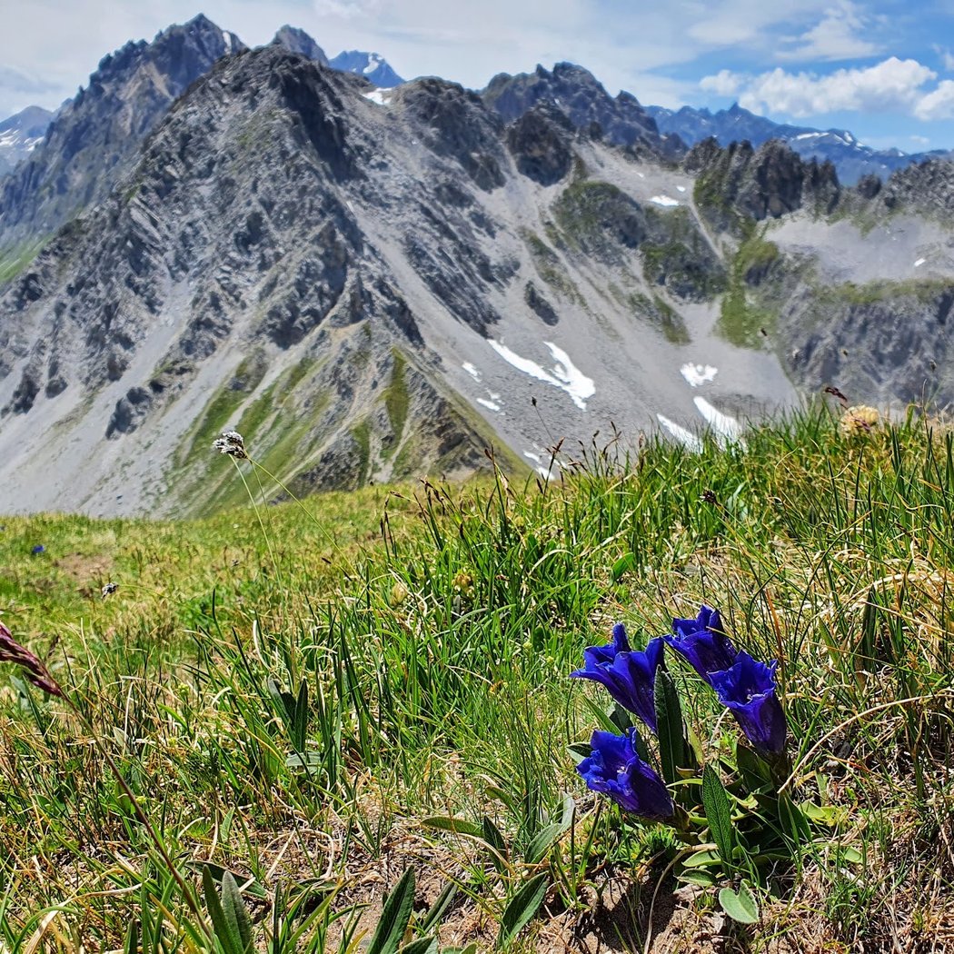 Petit Mont Blanc 1