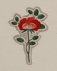 A Rose is a Rose is a Rose : Sidival Fila 1