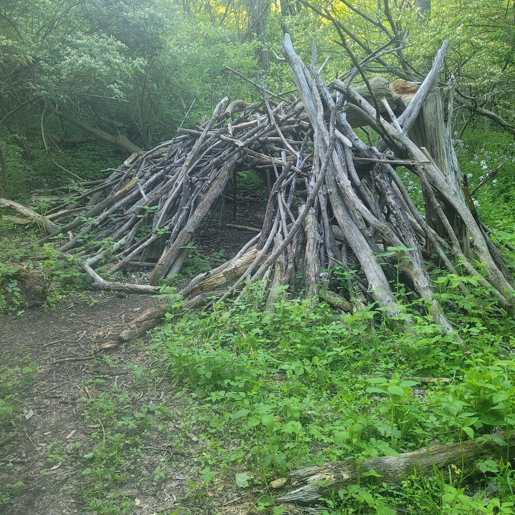 Miller Nature Area 3