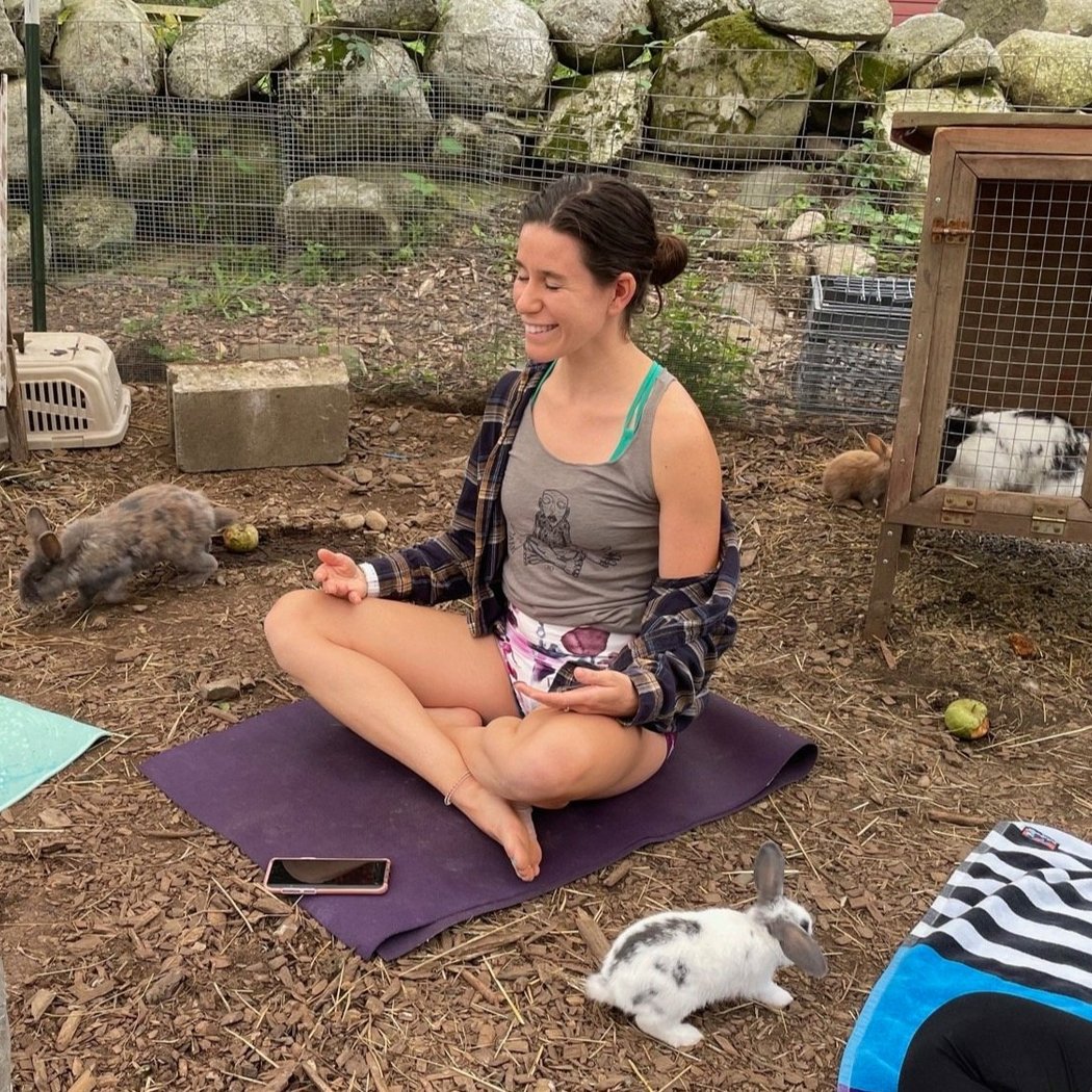 Goat & Bunny Yoga Classes 3