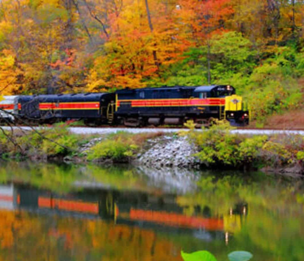 National Park Scenic Excursion 1