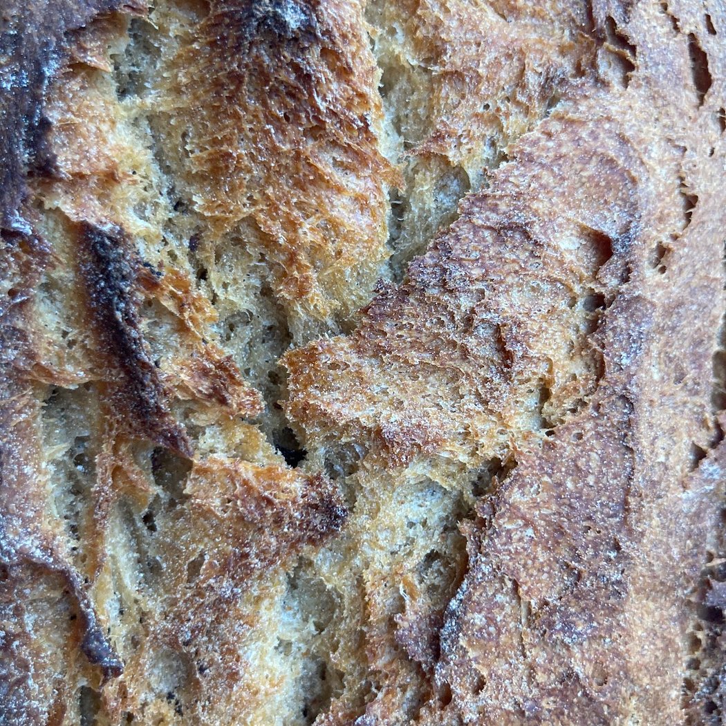 fournil sauvage - micro boulangerie 1