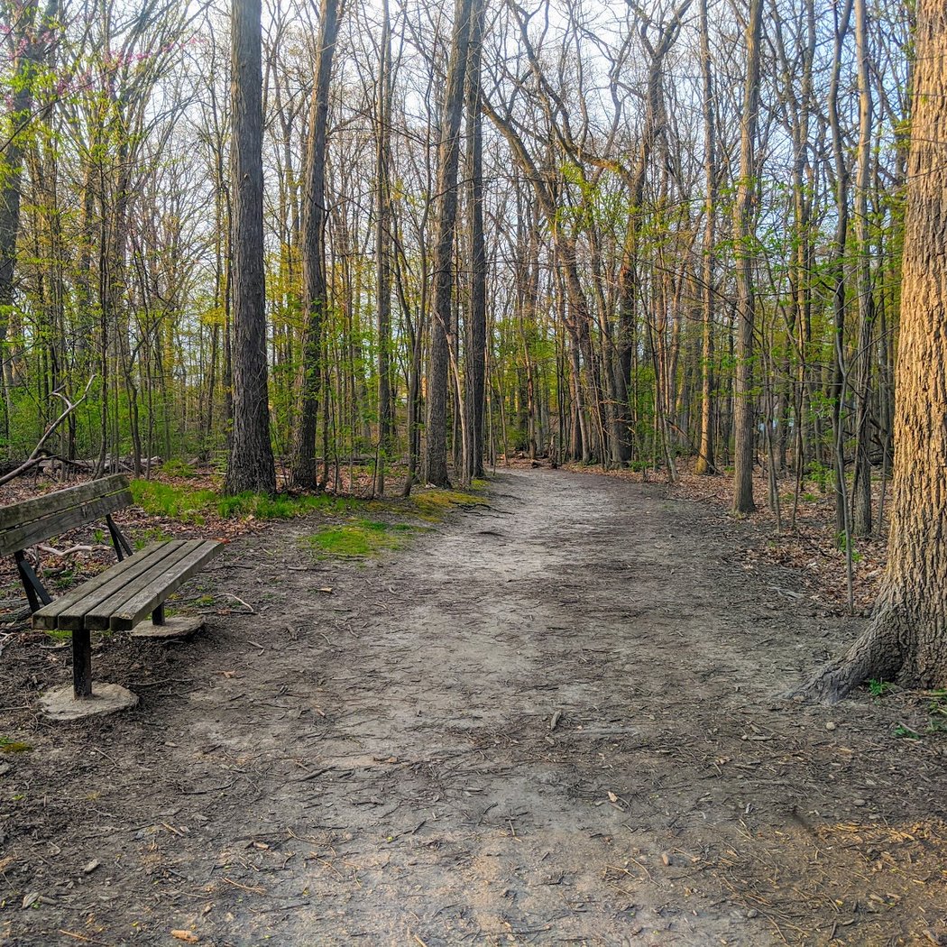 Fritz Park 2