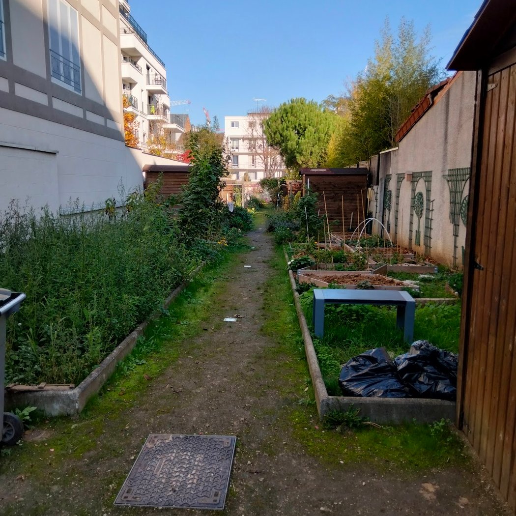 Arums Garden 1