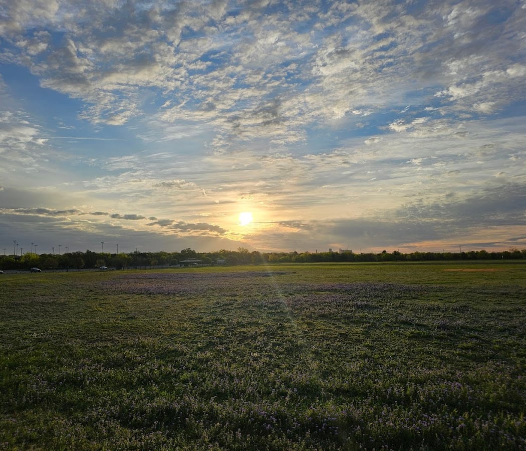 McAllister Park 1
