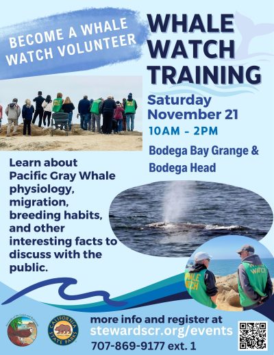 Whale Watch Volunteer Training