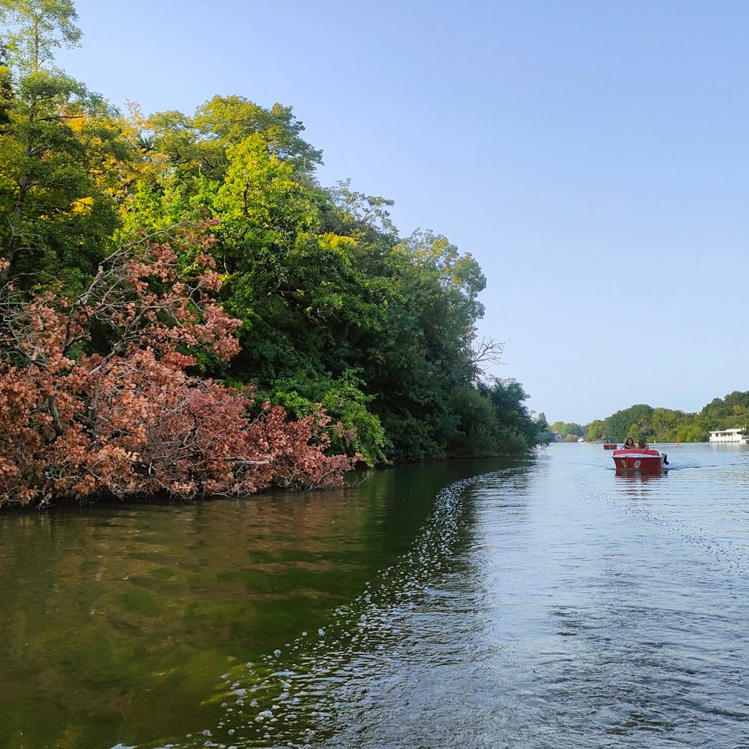 Ruban Vert : location de bateaux électriques et canoës 2