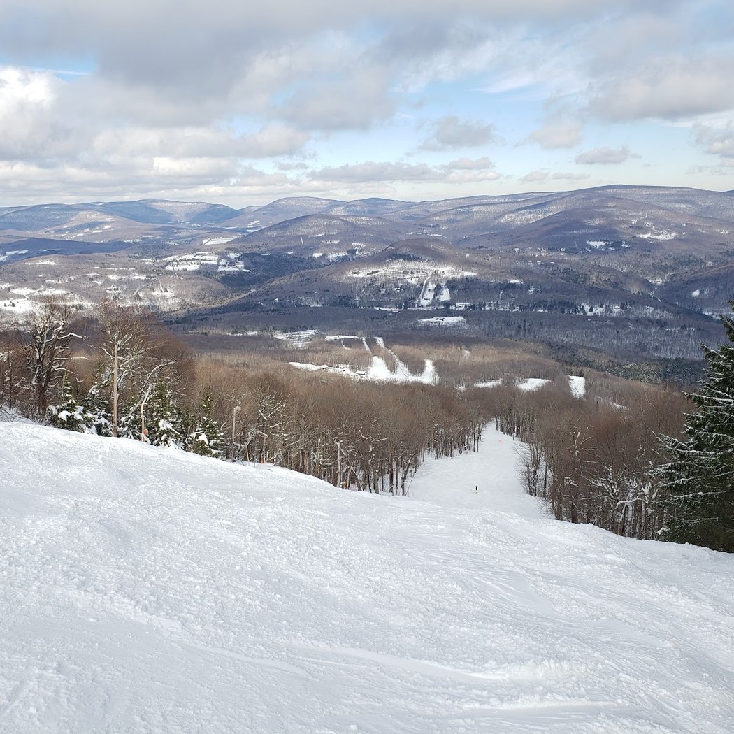 Mountain Jam 2