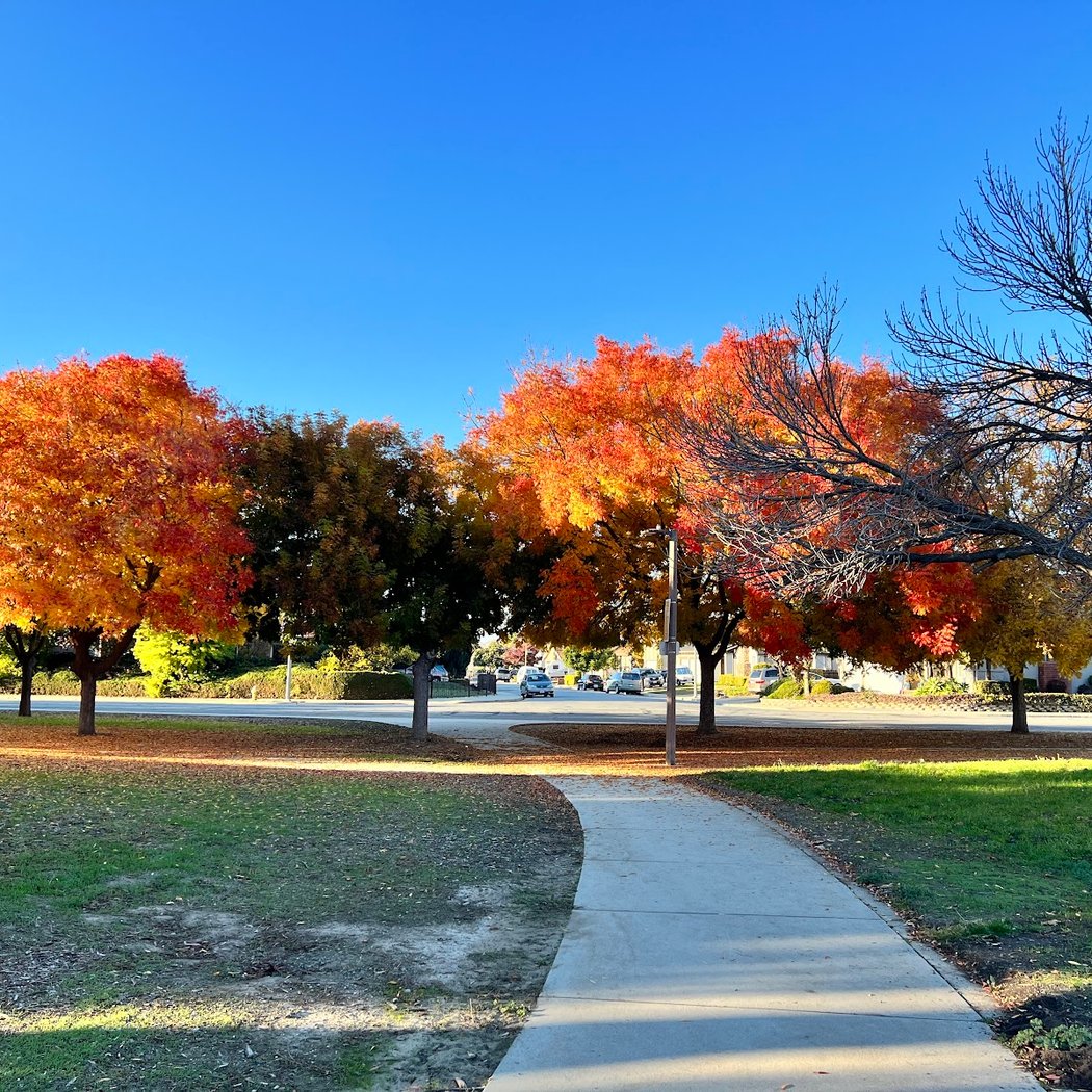 Cataldi Park 1