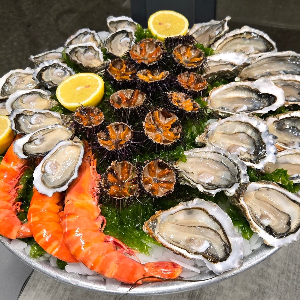 Coquillages Claude 1