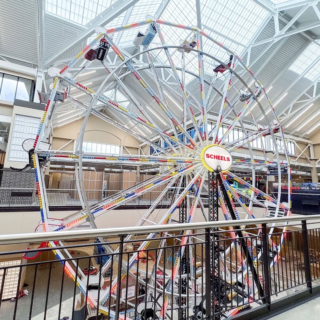Scheels 1