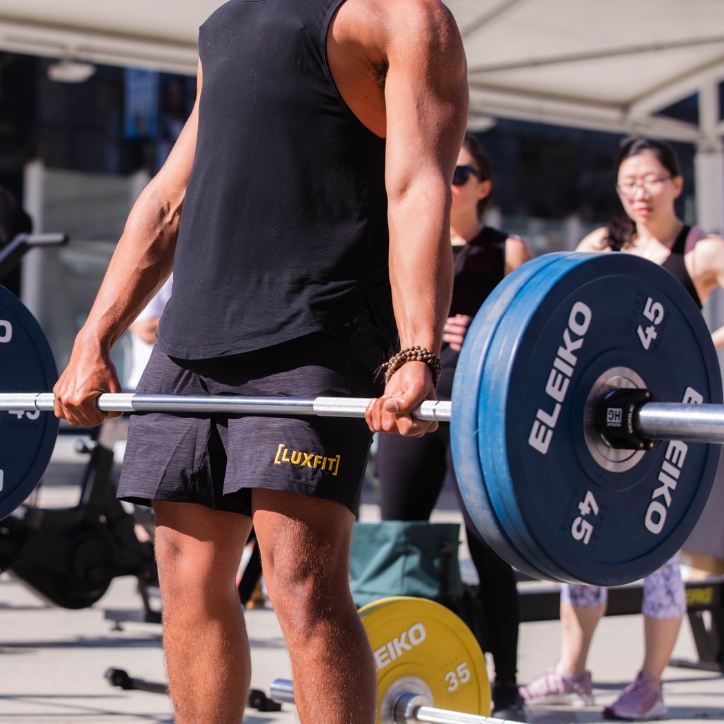 LuxFit SF 1