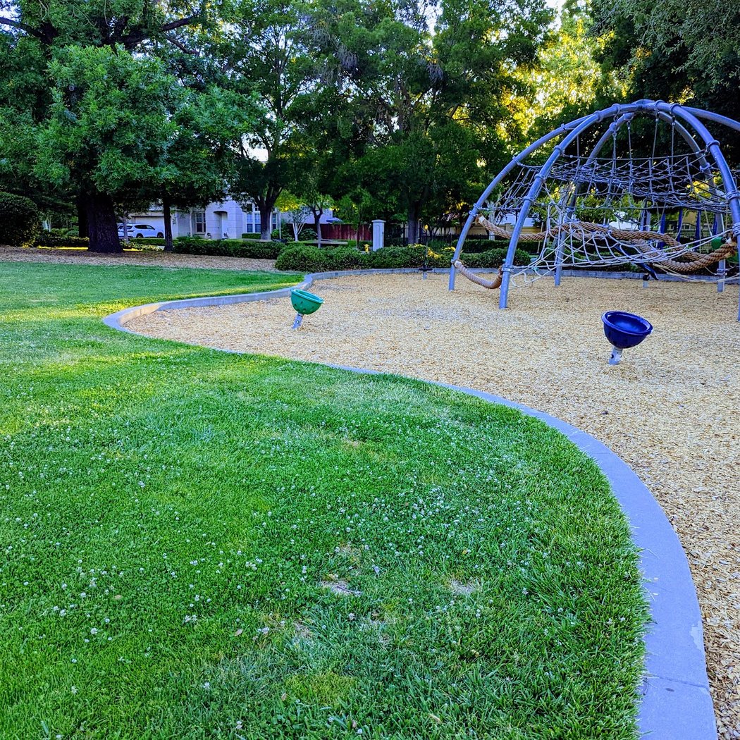Amaral Park 1