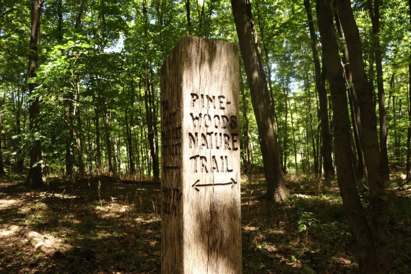 Pinewoods Park 1