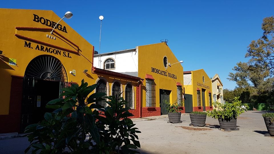 Bodega Manuel Aragón S.L. 2