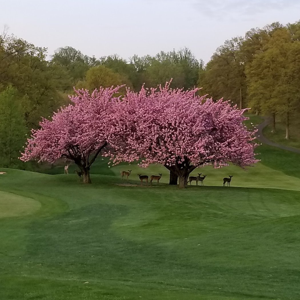 Rockland Country Club 3