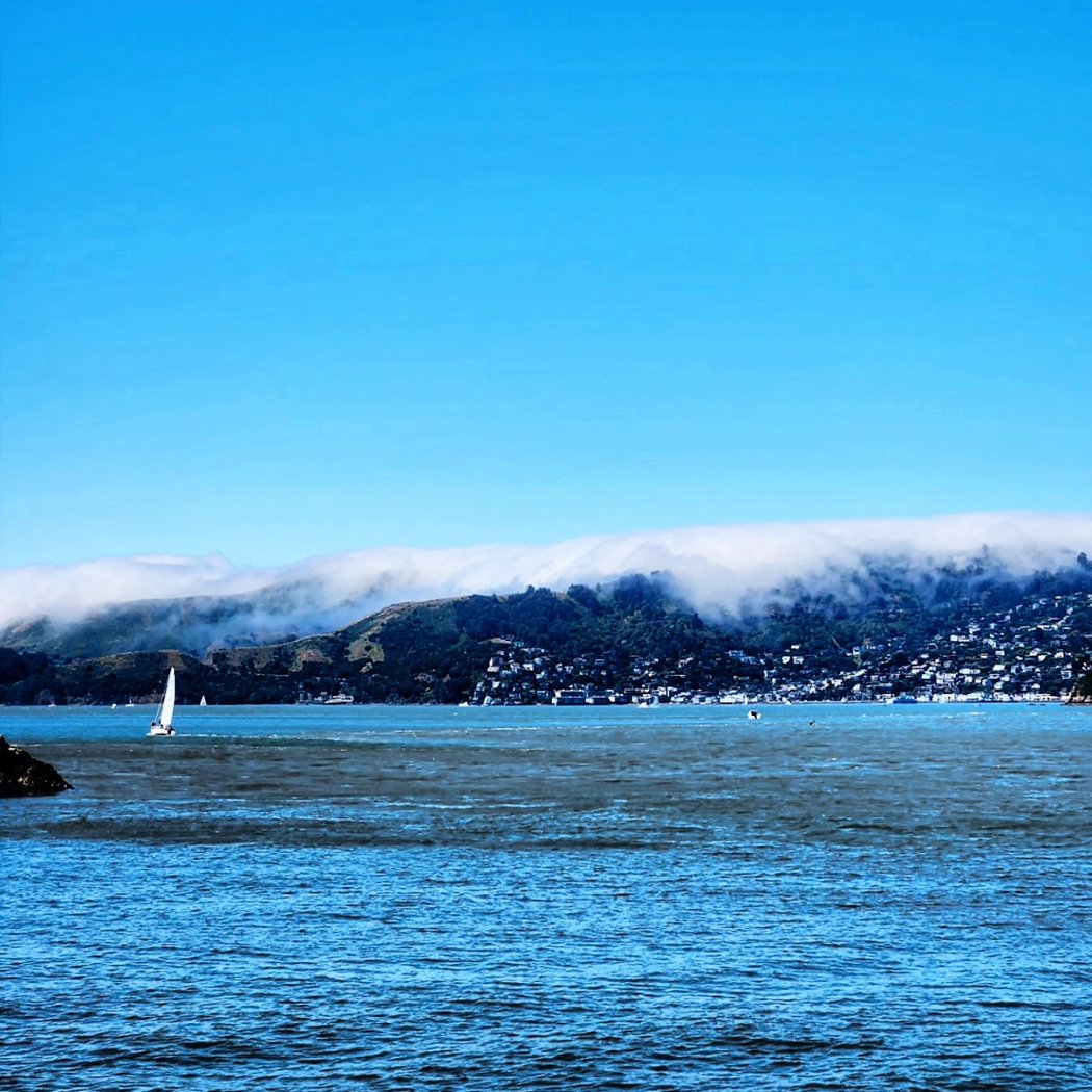 Angel Island - Tiburon Ferry 3