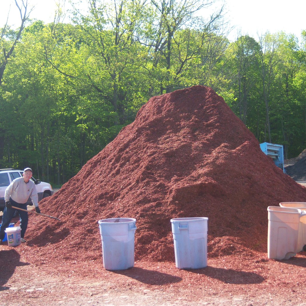 Yonkers Organic Yard 1