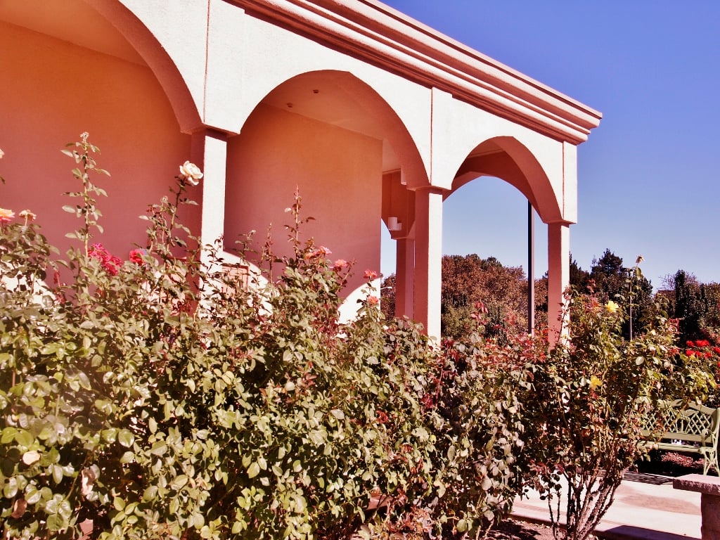 Dhyanyoga Centers - Antioch 2