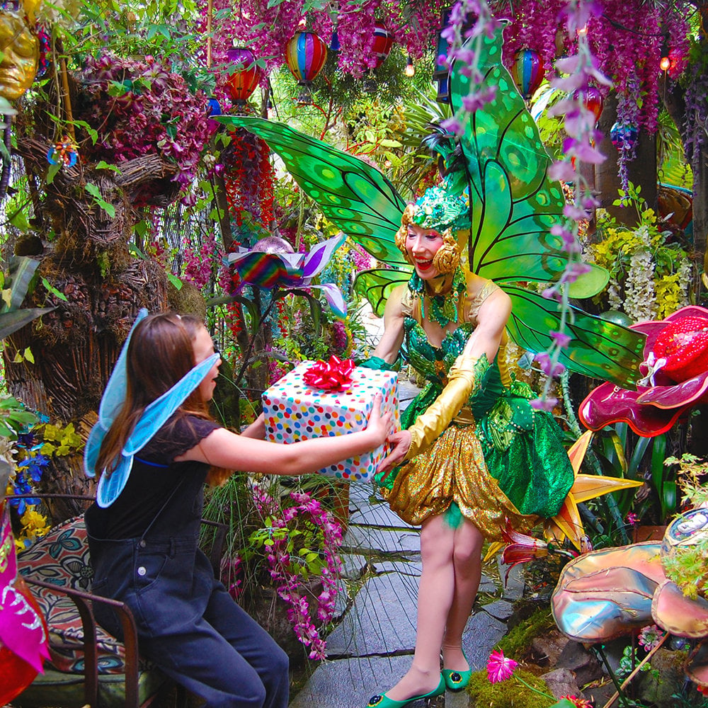 Enchanted Fairy Garden 1