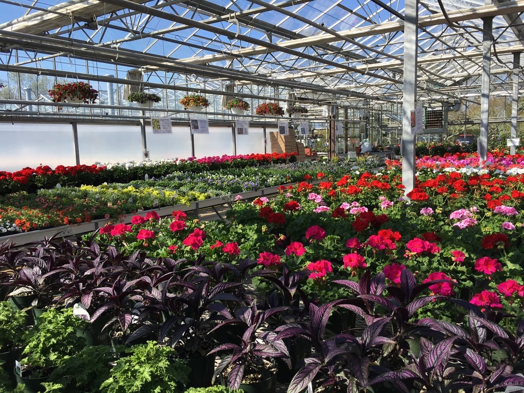 Halsey Farm & Nursery 3