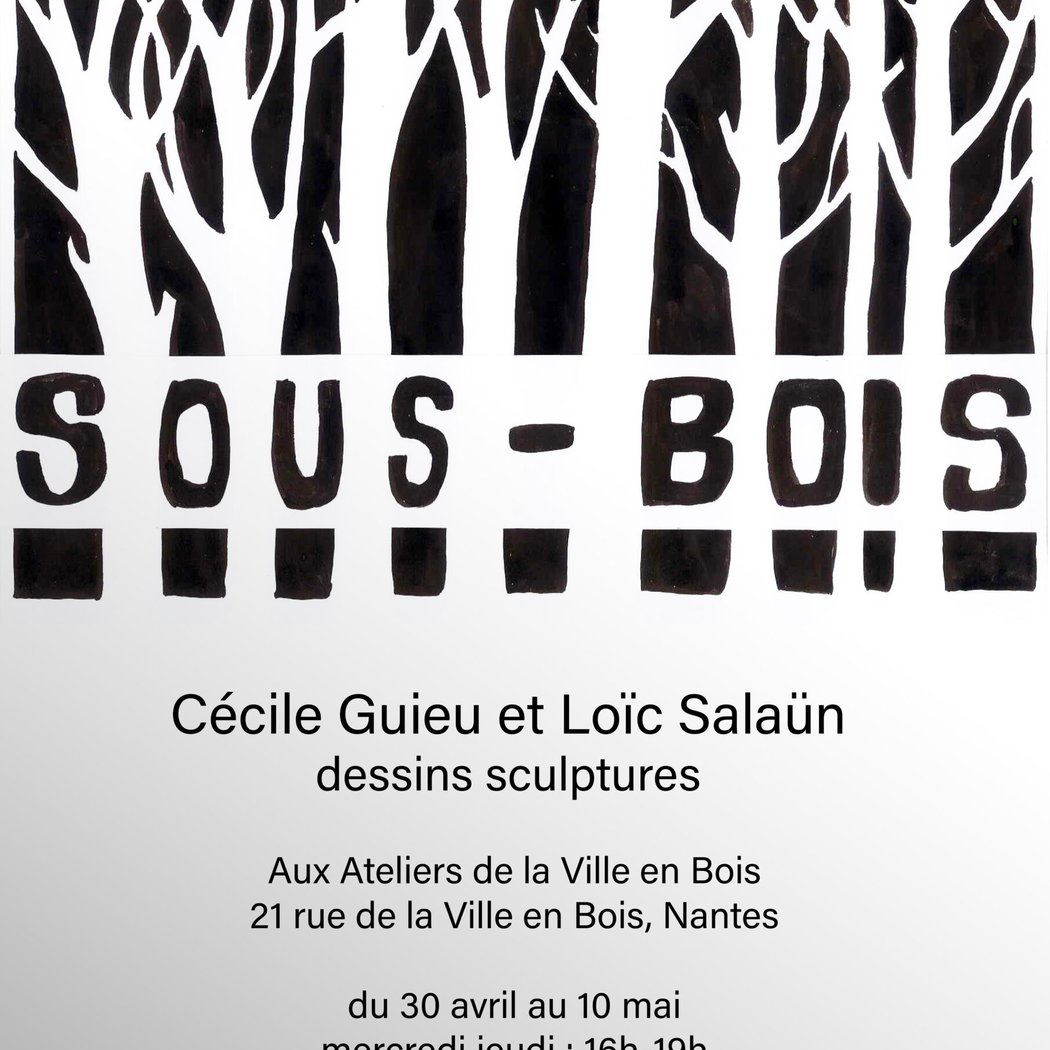 Exposition dessins et sculptures, Cécile Guieu et Loïc Salaün 1