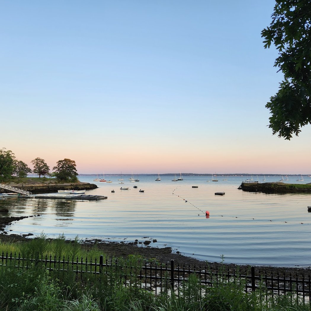 Larchmont Dog Beach 2