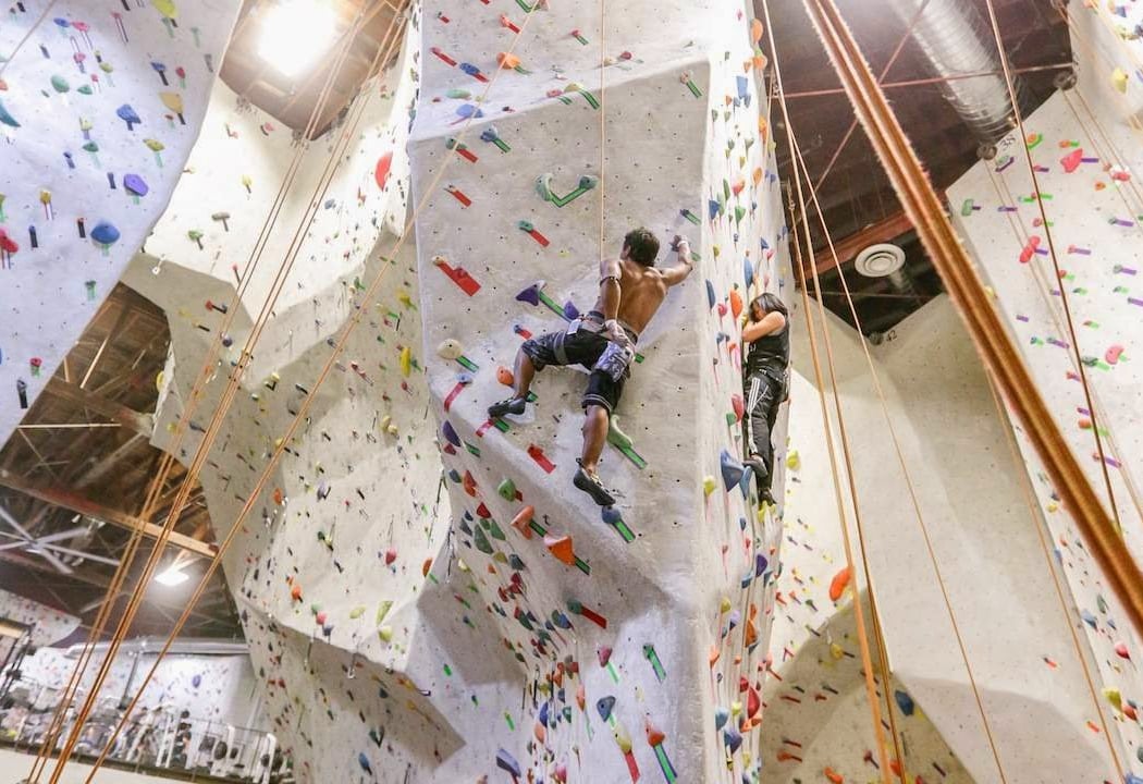 The Studio Climbing 3