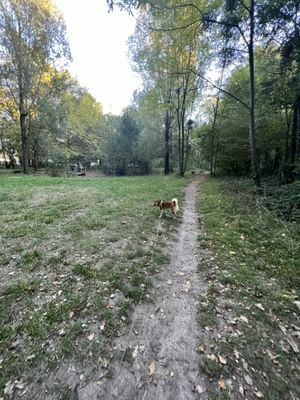 Parc de la Butte Verte 2