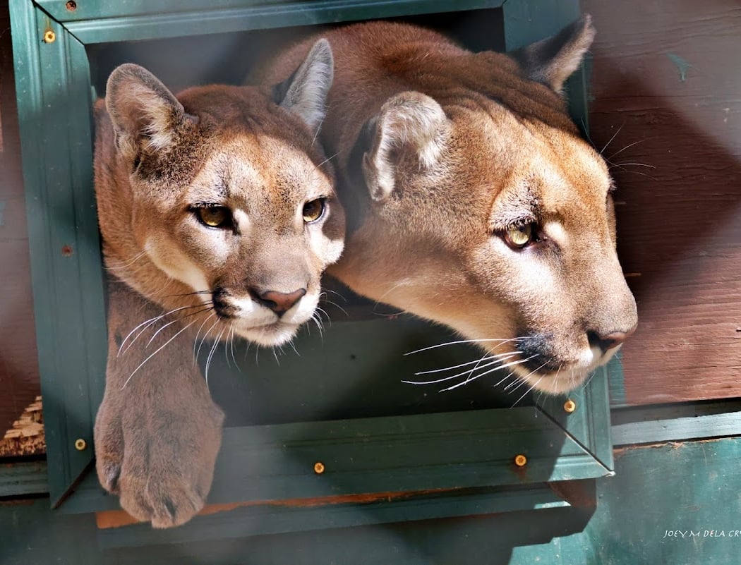 Walk With Wildlife Tour 2