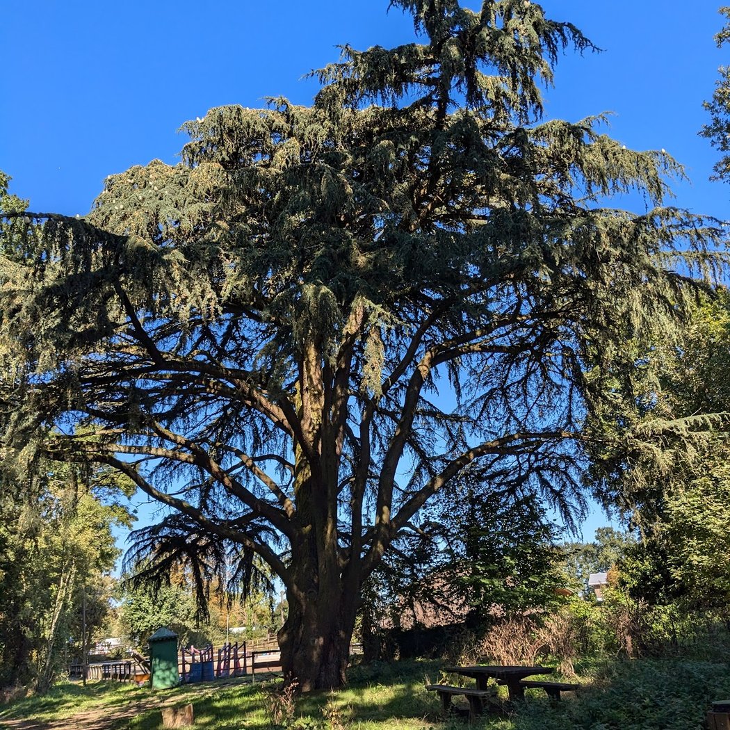 Domaine de Montéclin 3
