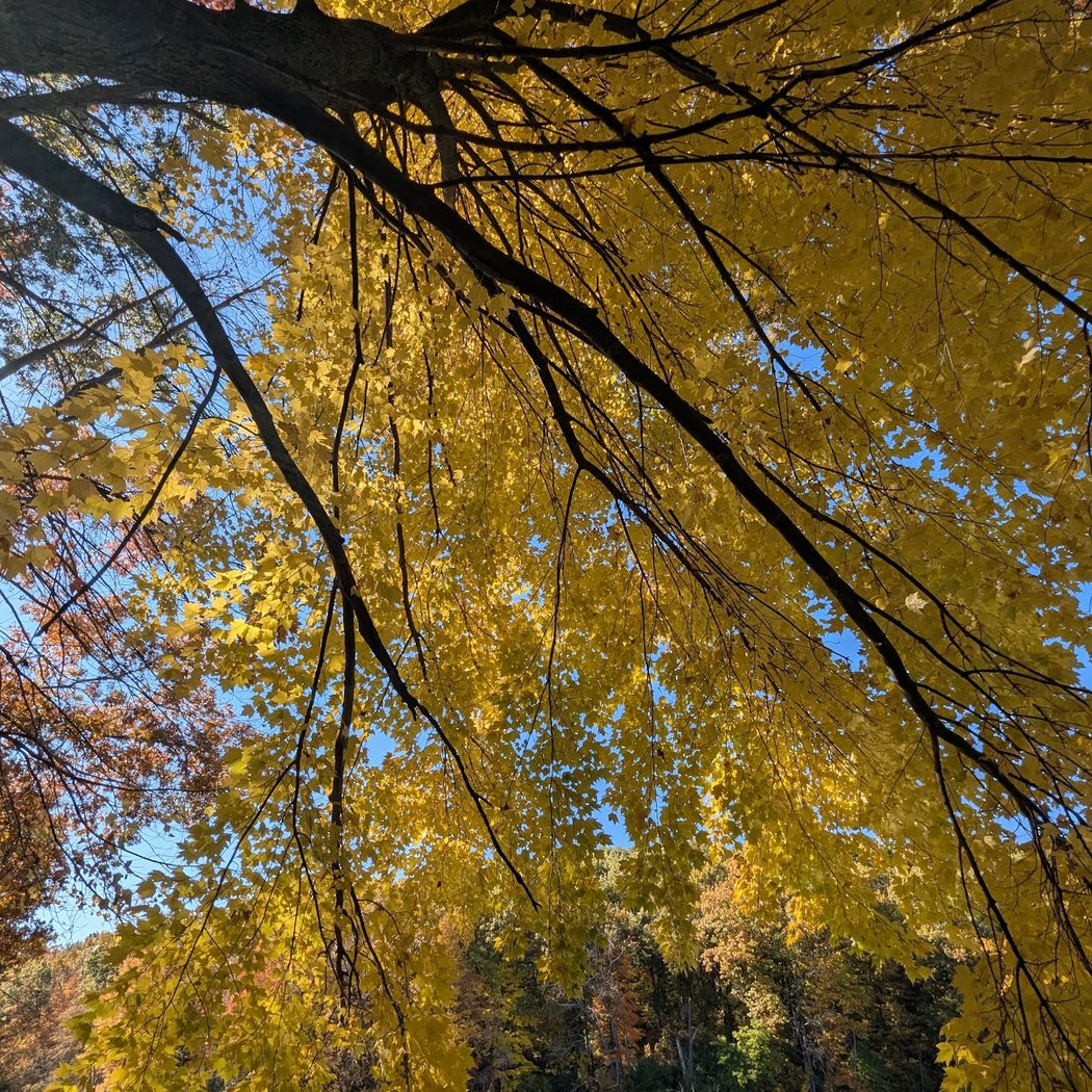 Holly Recreation Area 3