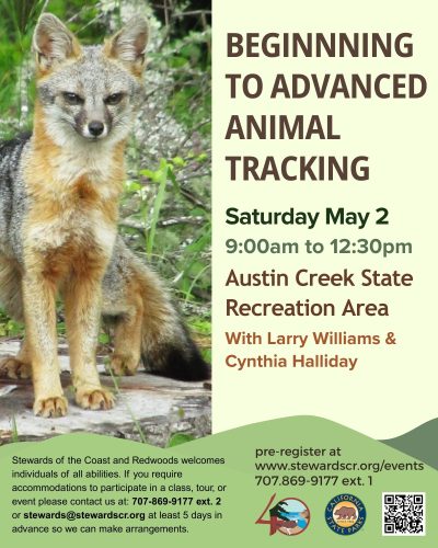 Beginning to Advanced Animal Tracking 1