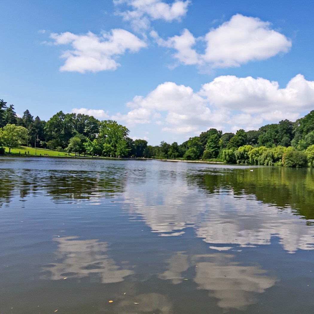 Kissena Lake 1