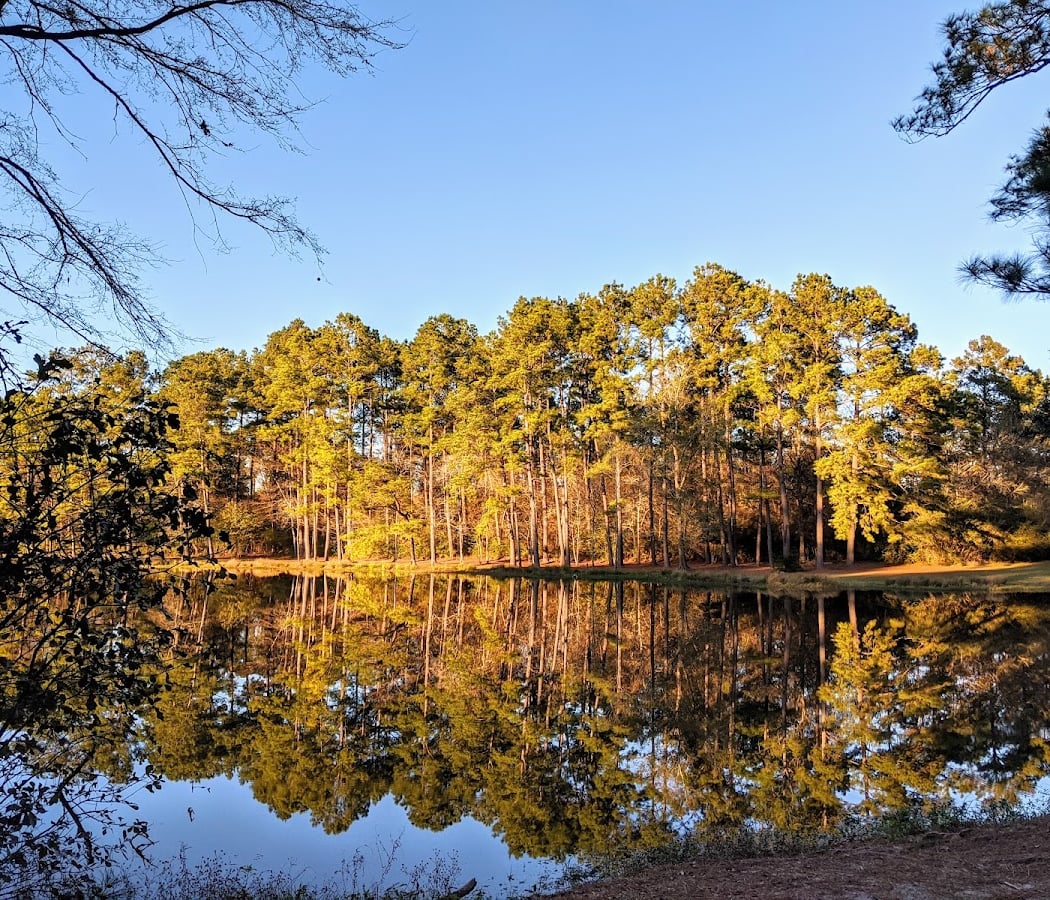 Birding Hike 1
