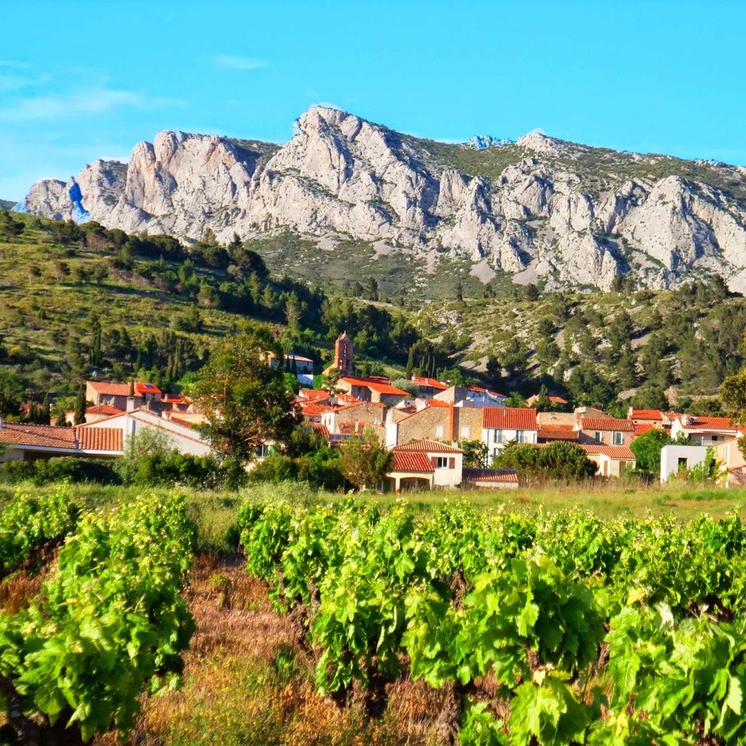 Domaine Vents du Sud 2