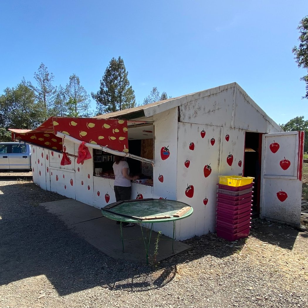 Strawberry Patch 3