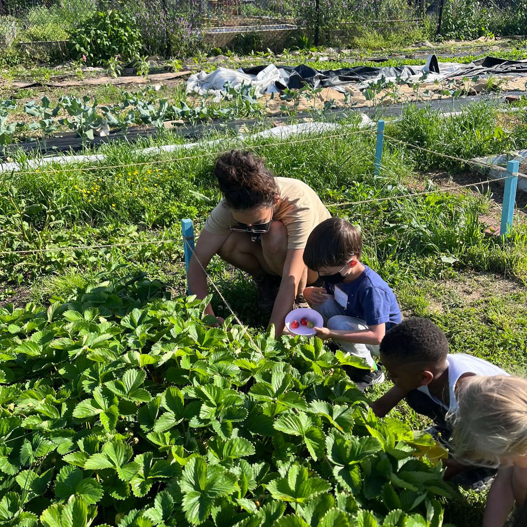 LEAF Youth Garden Class 1
