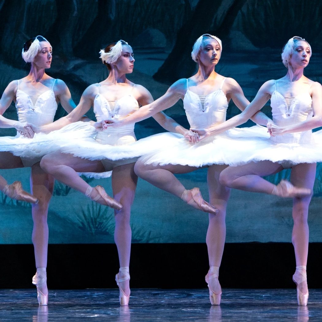 SWAN LAKE by City Ballet of San Diego 2