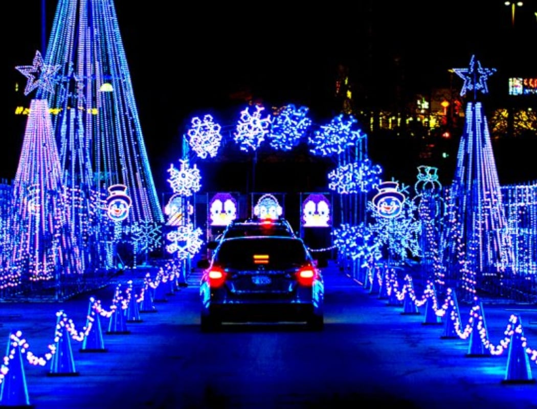 MI Bright Lights 1