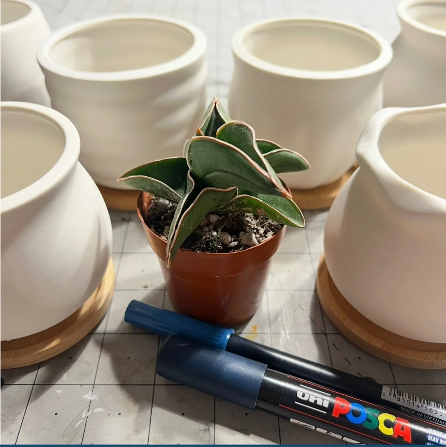 Ceramic Plant Pot Decorating – Earth Month 2026 1