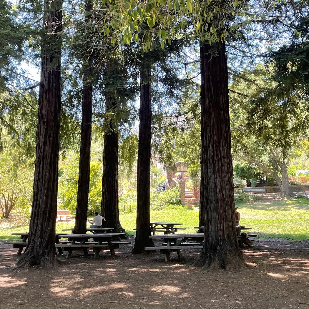 Robson Park 3
