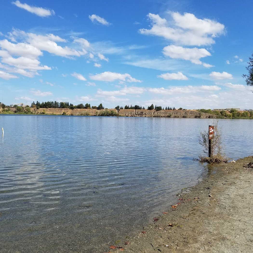 Shadow Cliffs Regional Recreation Area 3