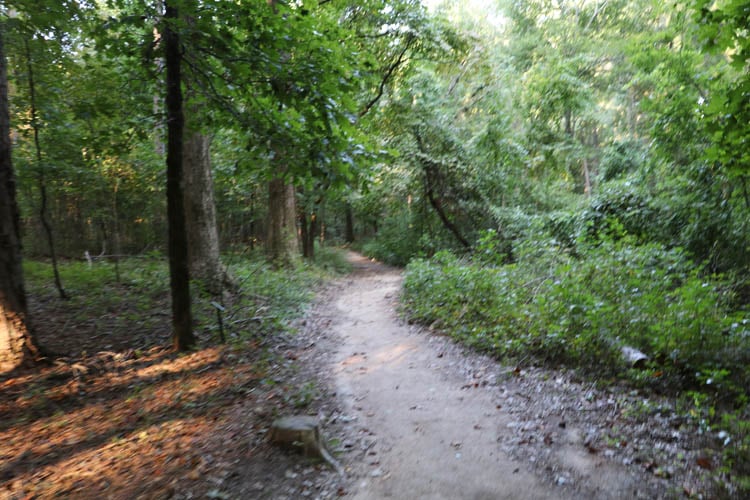Environmental & 24 Gun Trail Hike 2