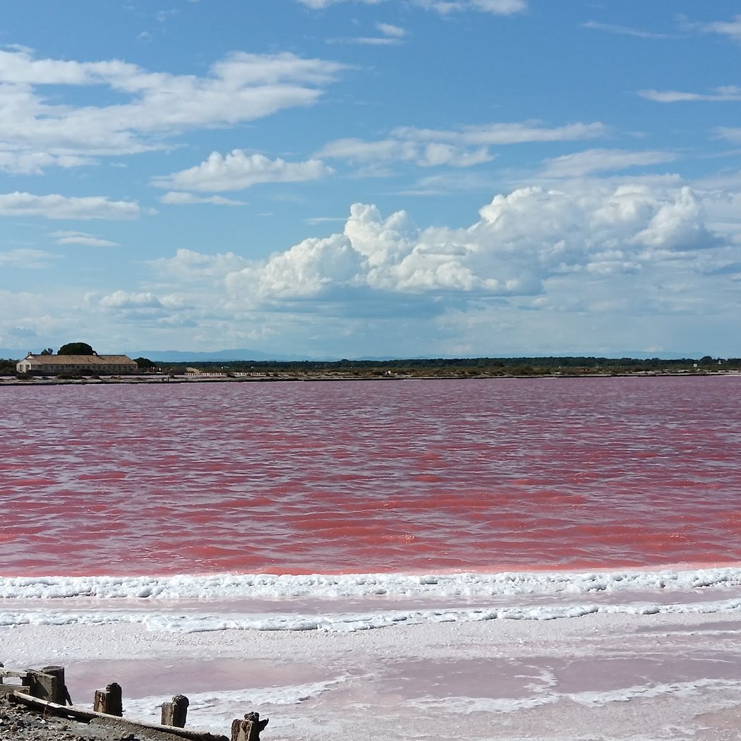 Les salins du midi 1